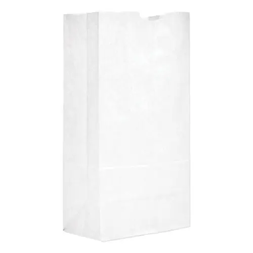 Ross & Wallace Paper Products Grocery Paper Bags, #20 Size, 8.25" x 5.25" x 16.13", White, 500/Bundle