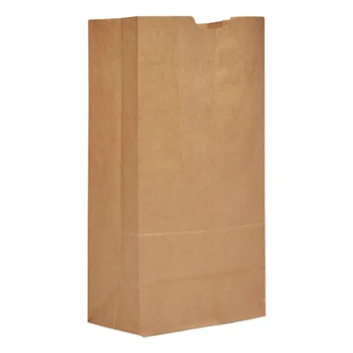 Ross & Wallace Paper Products Grocery Paper Bags, #20 Size, Extra-Heavy-Duty, Natural, 500/Bundle