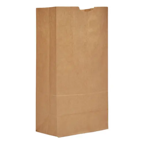 Ross & Wallace Paper Products Grocery Paper Bags, #20, Heavy-Duty, Natural, 500/Bundle