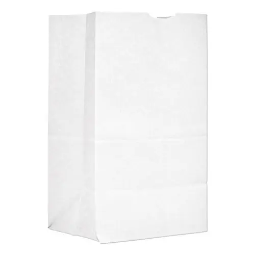 Ross & Wallace Paper Products Grocery Paper Bags, #20 Squat Size, White, 500/Bundle