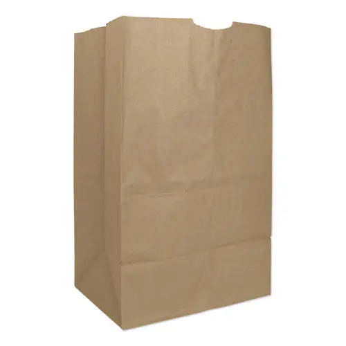 Ross & Wallace Paper Products Grocery Paper Bags, Heavy-Duty, Natural, #20 Squat, 500/Bundle
