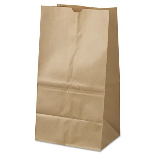 Ross & Wallace Paper Products Grocery Paper Bags, #25 Squat Size, 8.25" x 5.25" x 16.13", Natural, 500/Bundle