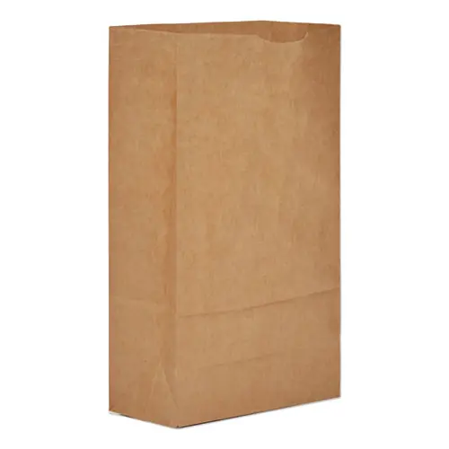 Ross & Wallace Paper Products Grocery Paper Bags, #6 Size, Extra-Heavy-Duty, 5.88" x 3.63" x 11", Natural, 500/Bundle
