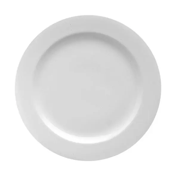 Royal Porcelain Avalon Dinnerware by Steelite – 10.25″ Dinner Plate – 1 Doz