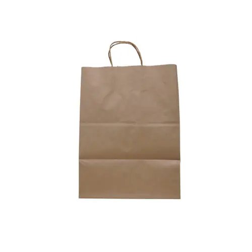 Solupac™ Take Out Twist Handle Bag, Natural Twisted-Paper Handles, 12" x 9" x 15.75", Natural, 200/Carton