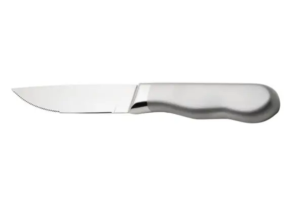 Stainless Steel Steak Knife – Jumbo Frosted Handle