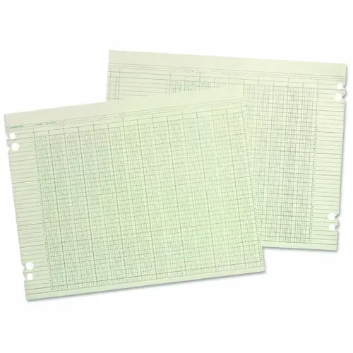 Wilson Jones® Columnar Loose Sheets, 6 Columns, 9.25 x 11.88, Green, 100/Pack