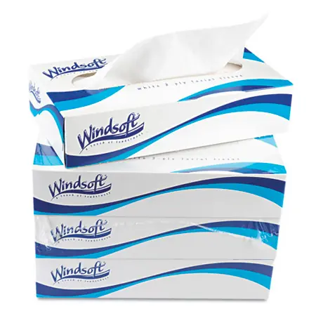 Windsoft Facial Tissue, 2-Ply, 100 Sheets per Box, 6 Boxes per Case