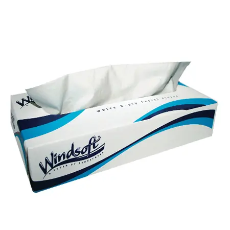 Windsoft Facial Tissue, 2-Ply, 100 Sheets, White, 8" x 8.3", 30 Boxes