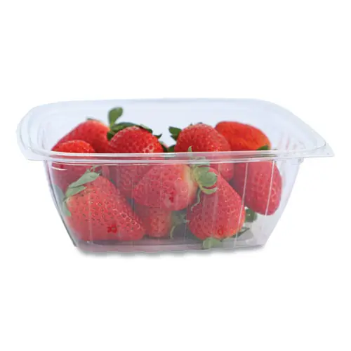 World Centric® PLA Rectangular Deli Containers, 32 oz, Clear, 600/Carton