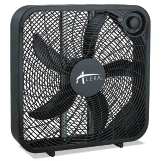 Fans