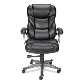 Alera® Alera® Birns Series High-Back Task Chair