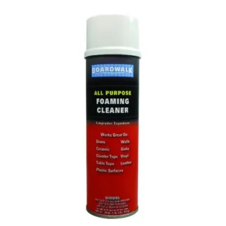 All Purp Clnr Arsl Can Foaming 12/case