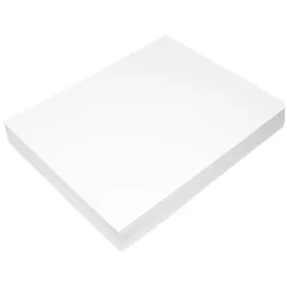 Epson® DS Transfer Photo Paper Roll
