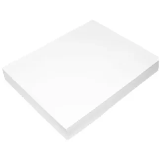 Epson® DS Transfer Photo Paper Roll, Matte White, 17" x 300 ft, 4.6 mil