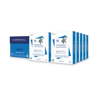 Hammermill® Great White 30 Recycled Print Paper, 92 Brightness, 20 lb Bond, 8.5 x 11, White, 500 Sheets/Ream, 10 Reams/Carton
