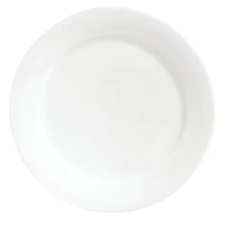 International Bone China Dinner Plate – 9″