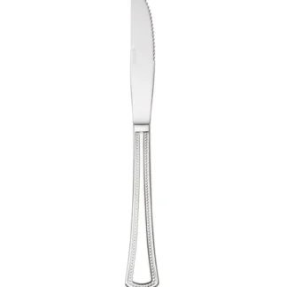 Oneida Needlepoint Dinner Knife