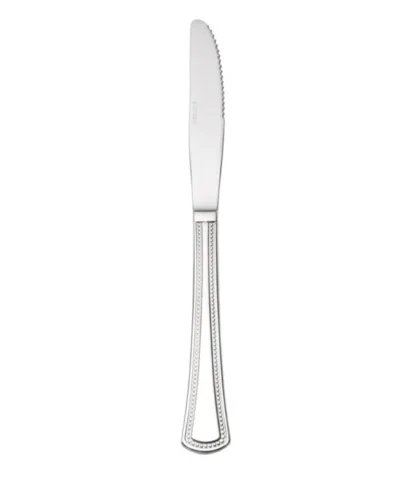 Oneida Needlepoint Dinner Knife