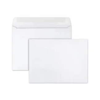 Quality Park™ Open-Side Booklet Envelope, #10 1/2, Cheese Blade Flap, Gummed Closure, 9 x 12, White