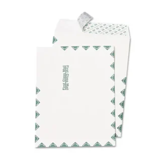 Quality Park™ Redi-Strip Catalog Envelope, First Class, #13 1/2, Cheese Blade Flap, Redi-Strip Adhesive Closure, 10 x 13, White, 100/Box