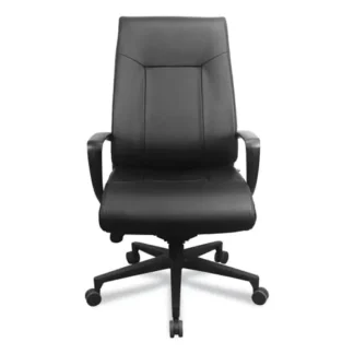 Tempur-Pedic® by Raynor Executive Chair, Supports up to 250 lbs, Black