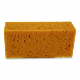 Sponges