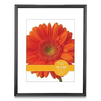 Victory Light Plastic Poster Frame with Mat, 11 x 14 Insert, Black