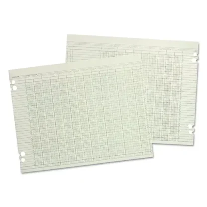 Wilson Jones® Accounting Sheets, 24 Columns, 11 x 14, Green, Loose Sheet, 100/Pack