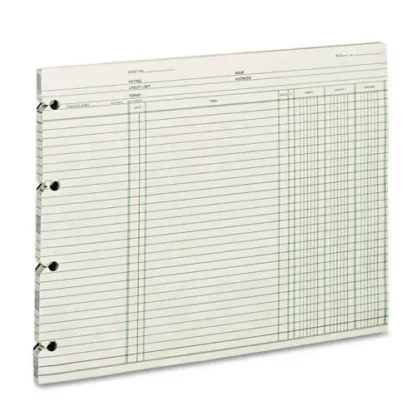 Wilson Jones® Accounting Sheets, 9.25 x 11.88, Green, Loose Sheet, 100/Pack